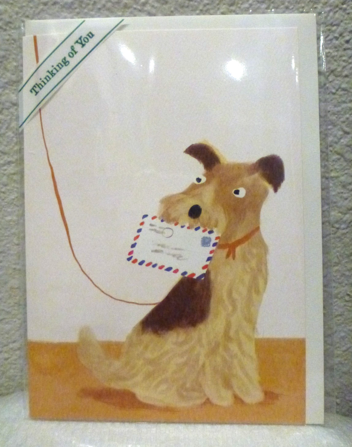 Trader Joe’s Get Well Card -Dog with Letter