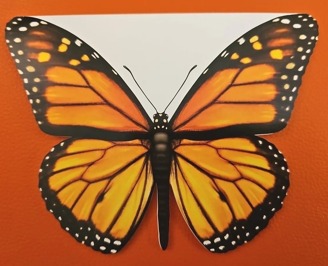 EDF Butterfly Shaped Greeting Card (Single Card Only) – 5″ X 6.5″