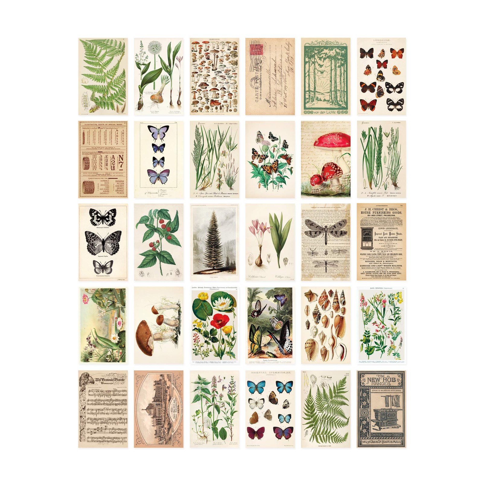 Wintertime Crafts Vintage Collection Postcard Set Pack of 30 Retro Style Bota…