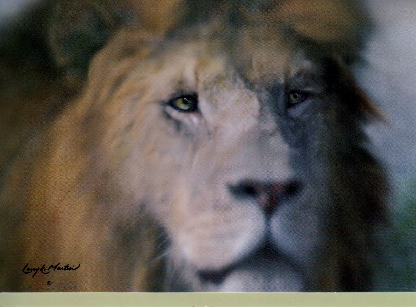 Birthday Artist Larry K Martin Lion 1 Card 1 Envelope Greeting Card