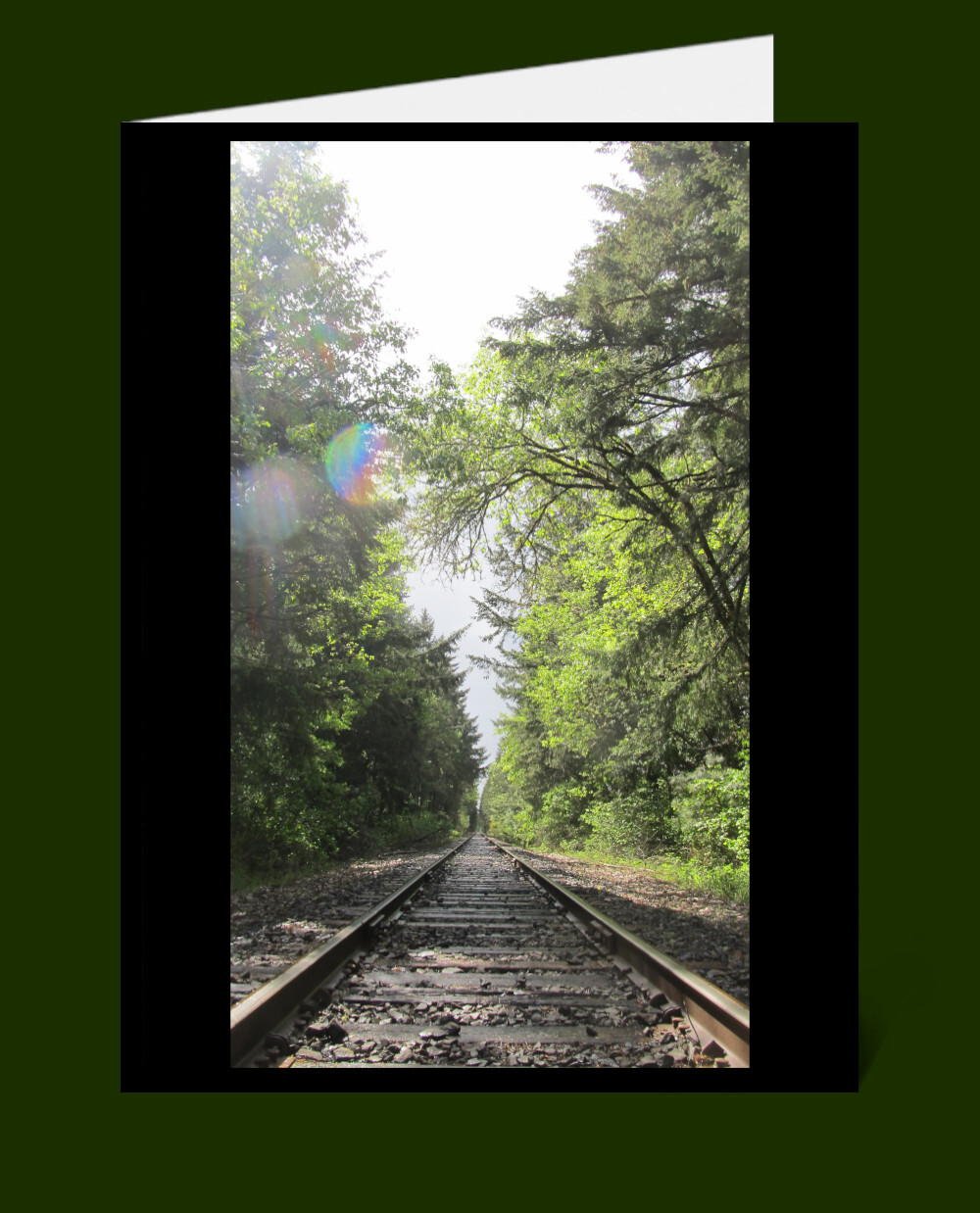 Nature Greeting Cards & Envelopes Blank 100% Recycled Windpower-made Paper