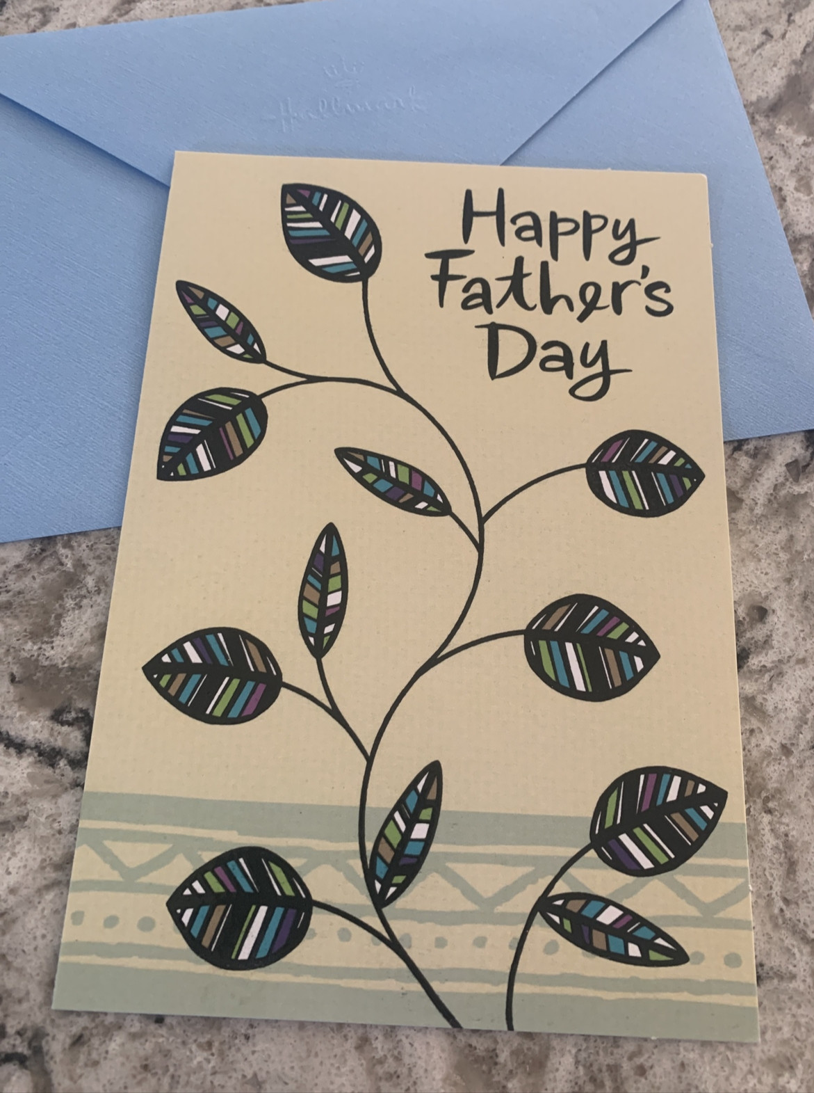 Father’s Day Dad Husband Stepfather Uncle Son 5”x7” Hallmark Greeting Card