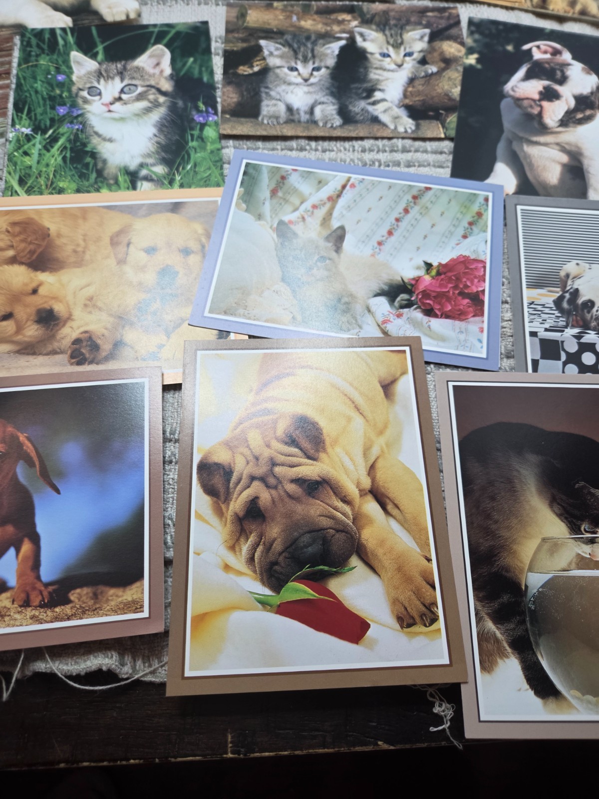 Puppies and kittens greeting cards lot of 19, any occasion