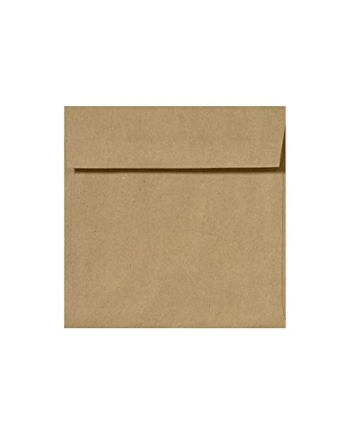 LUXPaper Square Invitation Envelopes | Peel & Press | 5 x 5 | Grocery Bag B…