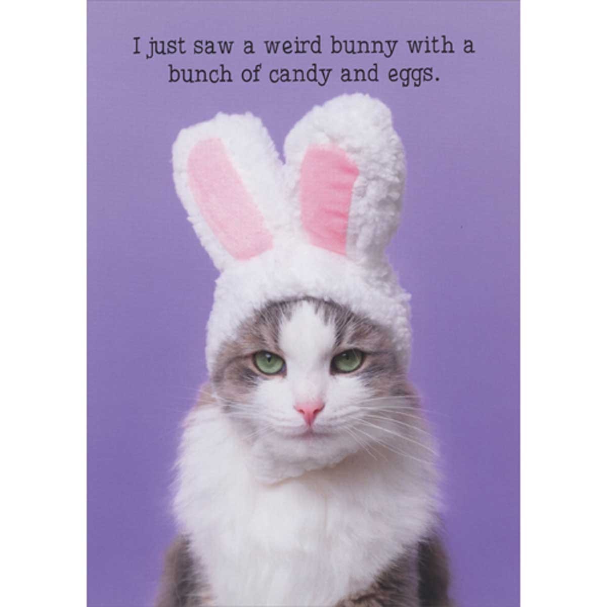 Cat with Rabbit Ears Saw a Weird Bunny with Candy and Eggs Funny Easter Card
