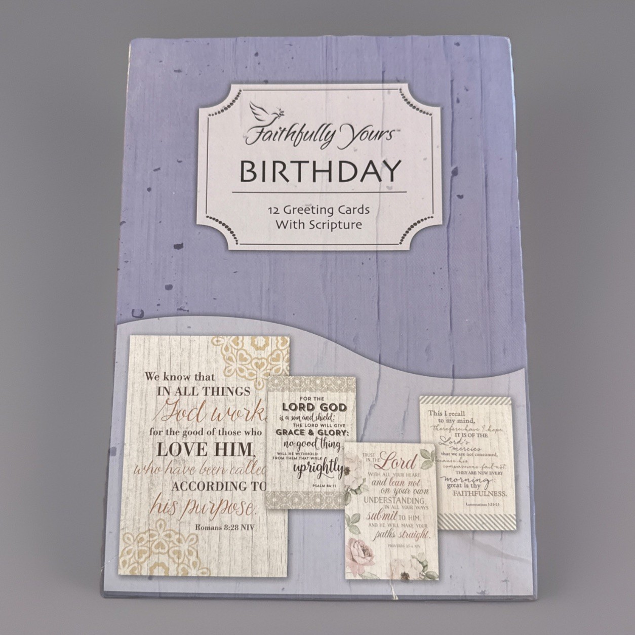 Faithfully Yours 166960 Good & Faithful Servant Birthday Boxer Card Pack of 12