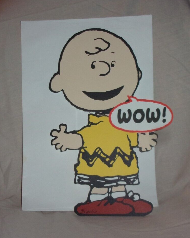 Hallmark Birthday Card w/Envelope Peanuts Charlie Brown Wow! I’m Impressed! New