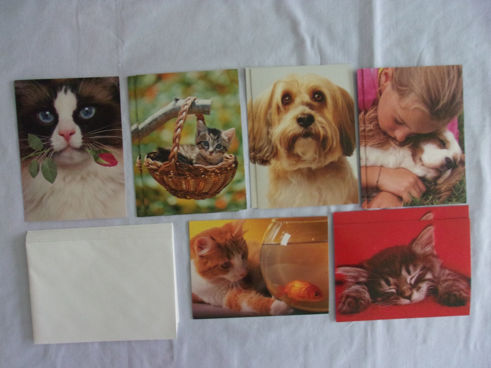 10 Current Cats & Dogs Greeting Cards-2 Birthday/6 Get Well/2 Hang On