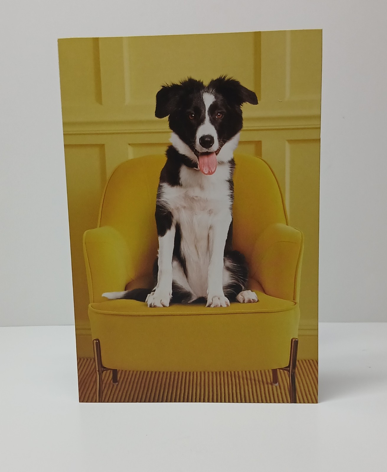 1 Hallmark Blank Card With Envelope Of A Cute Dog You Can Write Your Own Message