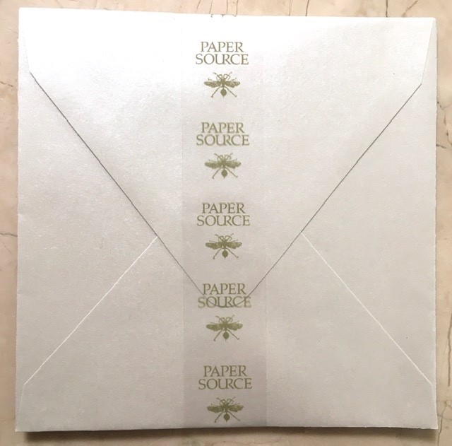 BRAND NEW SET 10 Paper Source Envelopes SHIMMER SILVER Stationery 5.75″ Square