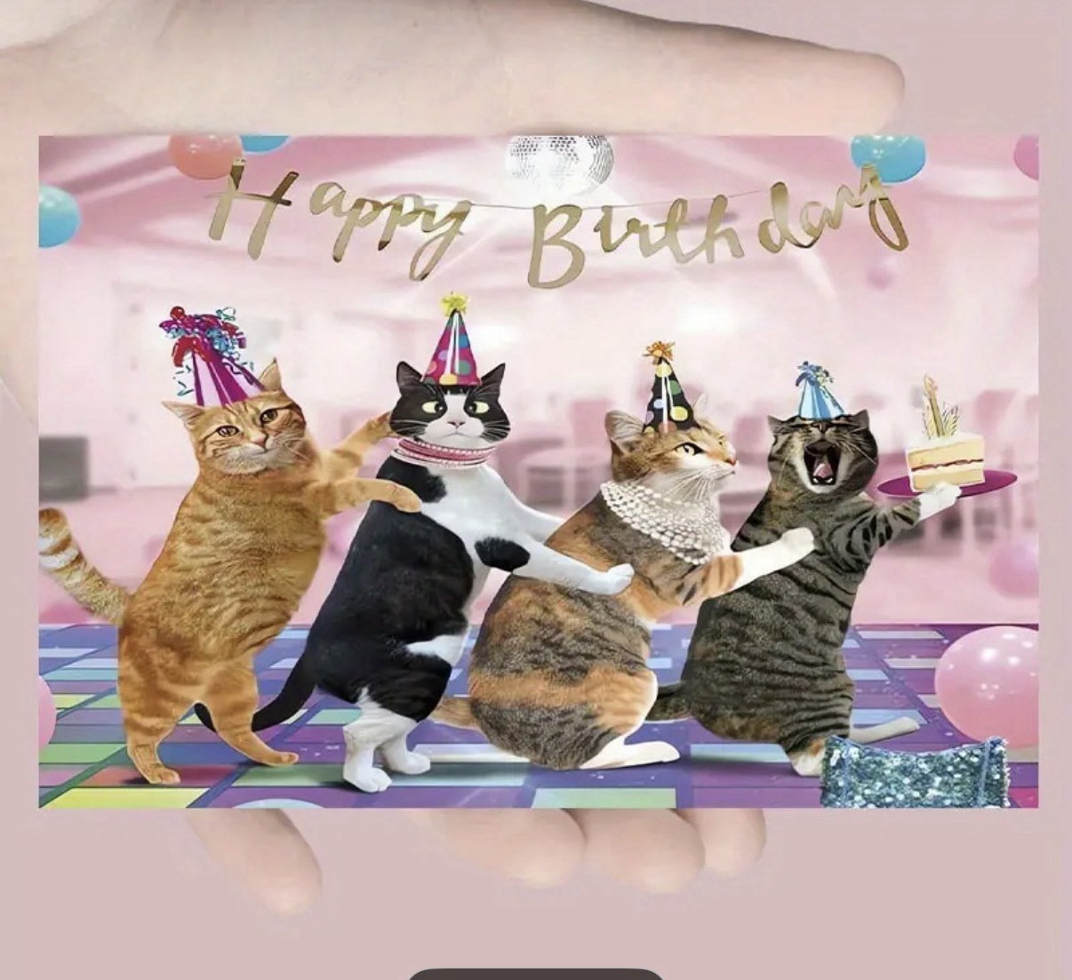 4×6 Crazy Cats Happy Birthday Dance Singing Blank With Envelope Cat Lover