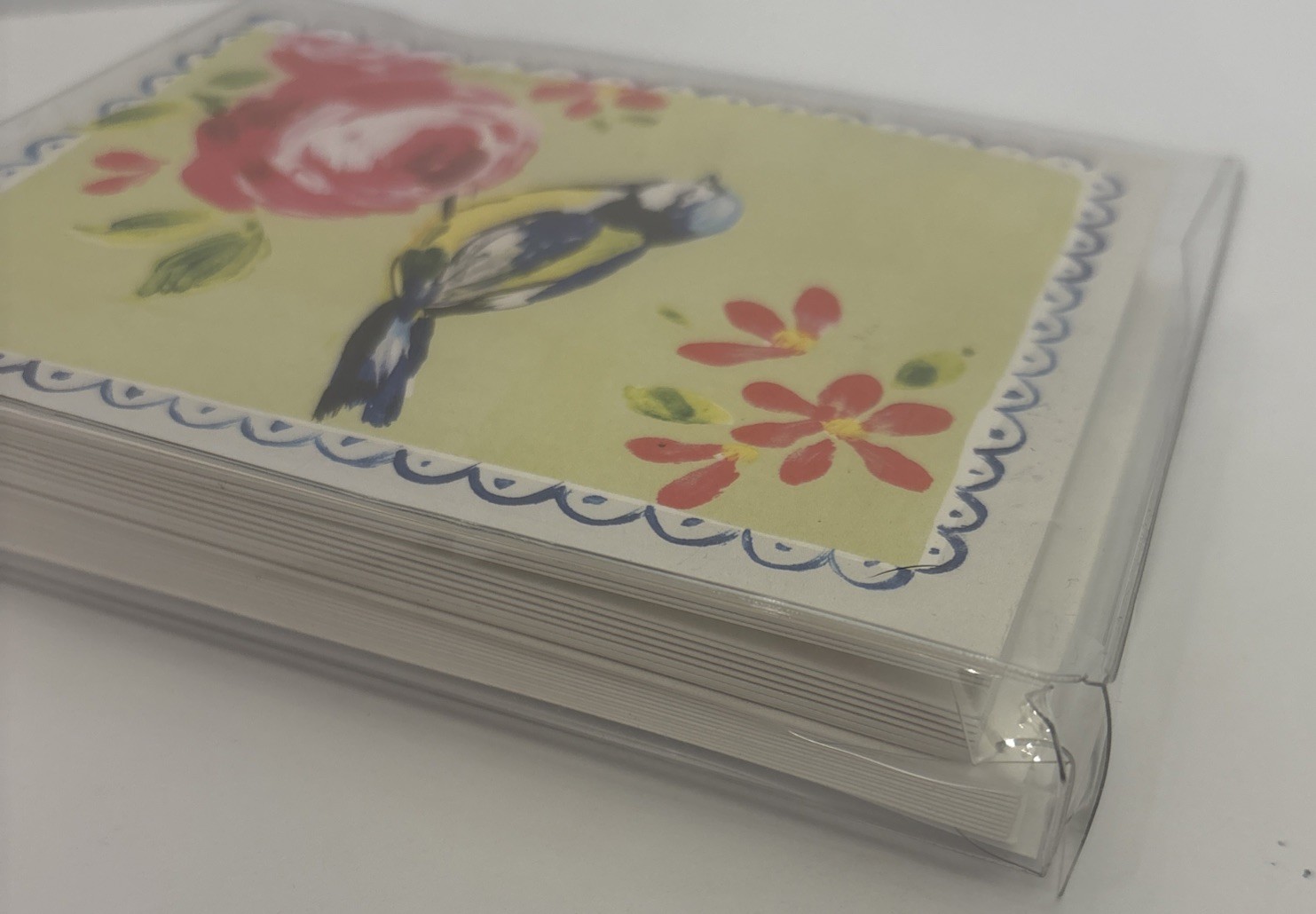 Paper Destiny Boho Bird Frame Note Cards Boxed Set 12 Cards Damaged Package