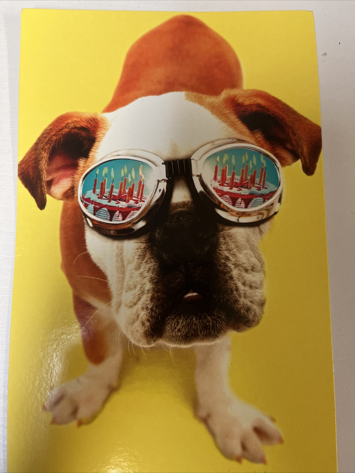 american greetings To Cool For School Puppy Birthday Card Retail Price 3.29