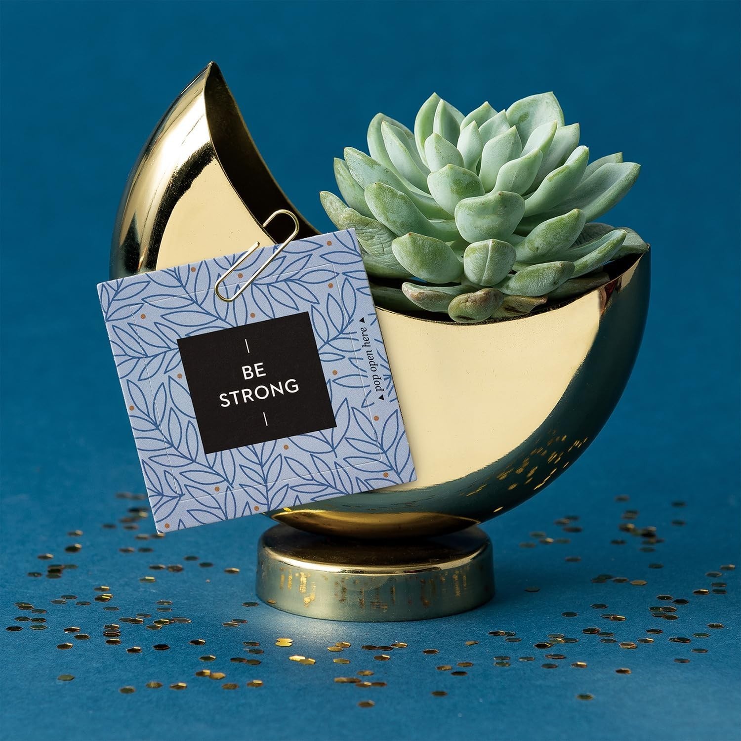 ThoughtFulls Be Strong: 30 Uplifting Pop-Open Cards for Daily Inspiration
