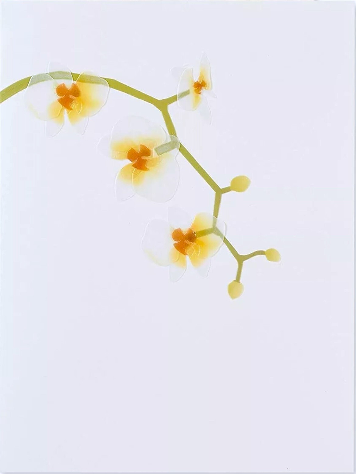 Papyrus Vellum Orchid Blank Any Occasion Greeting Card