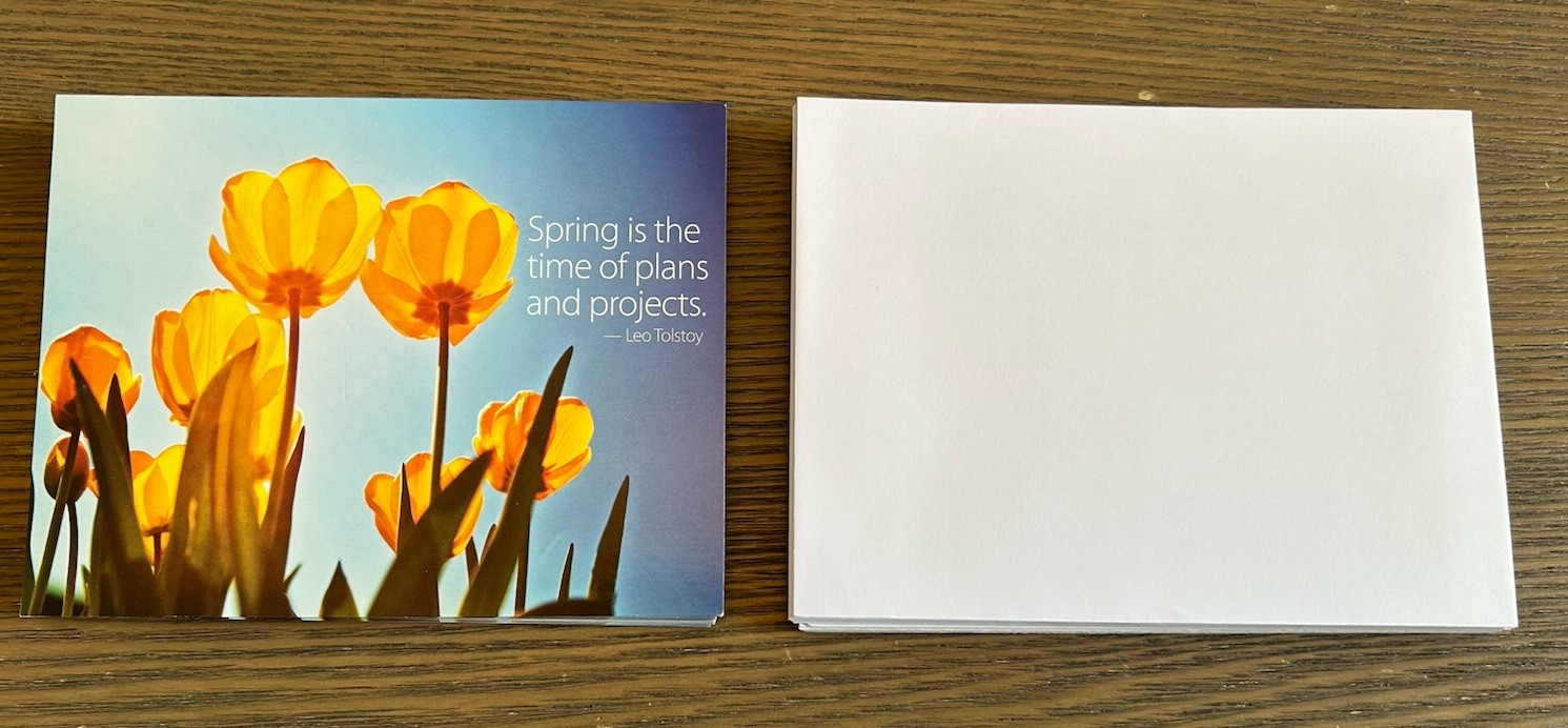 Yellow poppy flowers Spring plans 19 Blank Note Cards & Envelopes Buffini & Co
