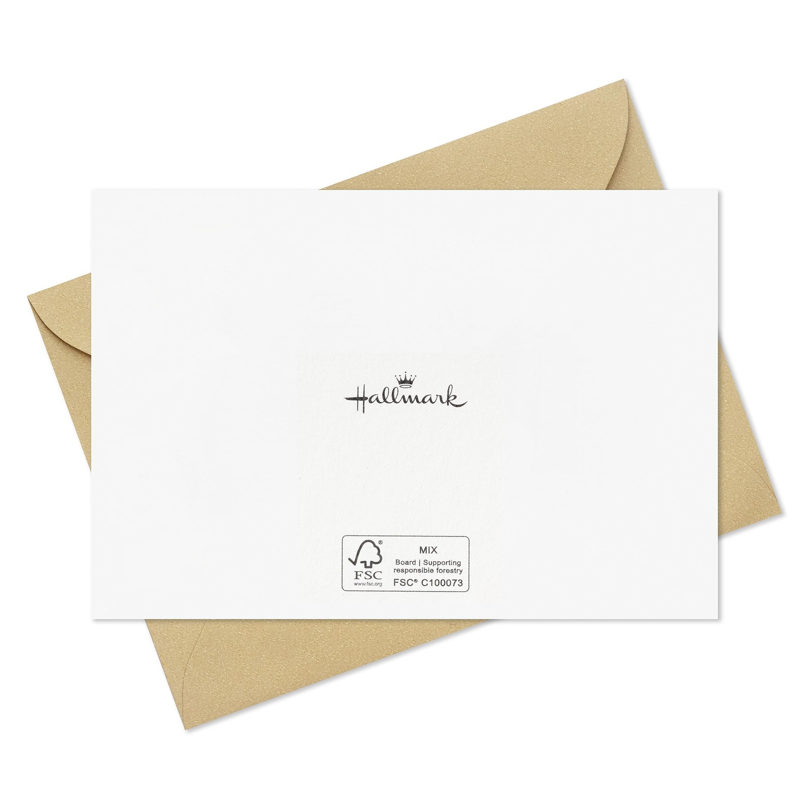 Hallmark Pink Orchid Thank You Notes (20 4 inches x 5.5 inches,