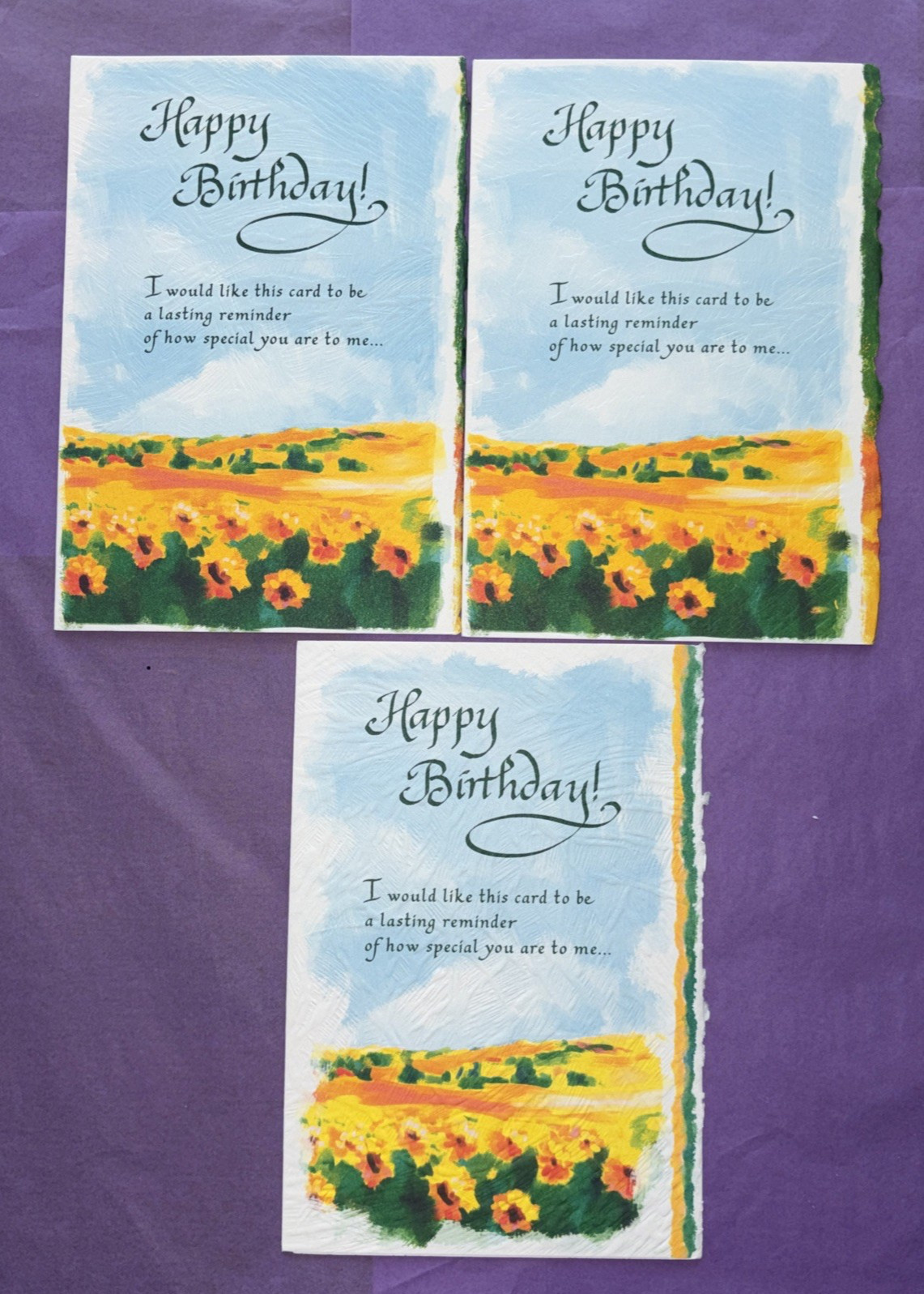 Three Blue Mountain Arts Greeting cards BIRTHDAY 255.1