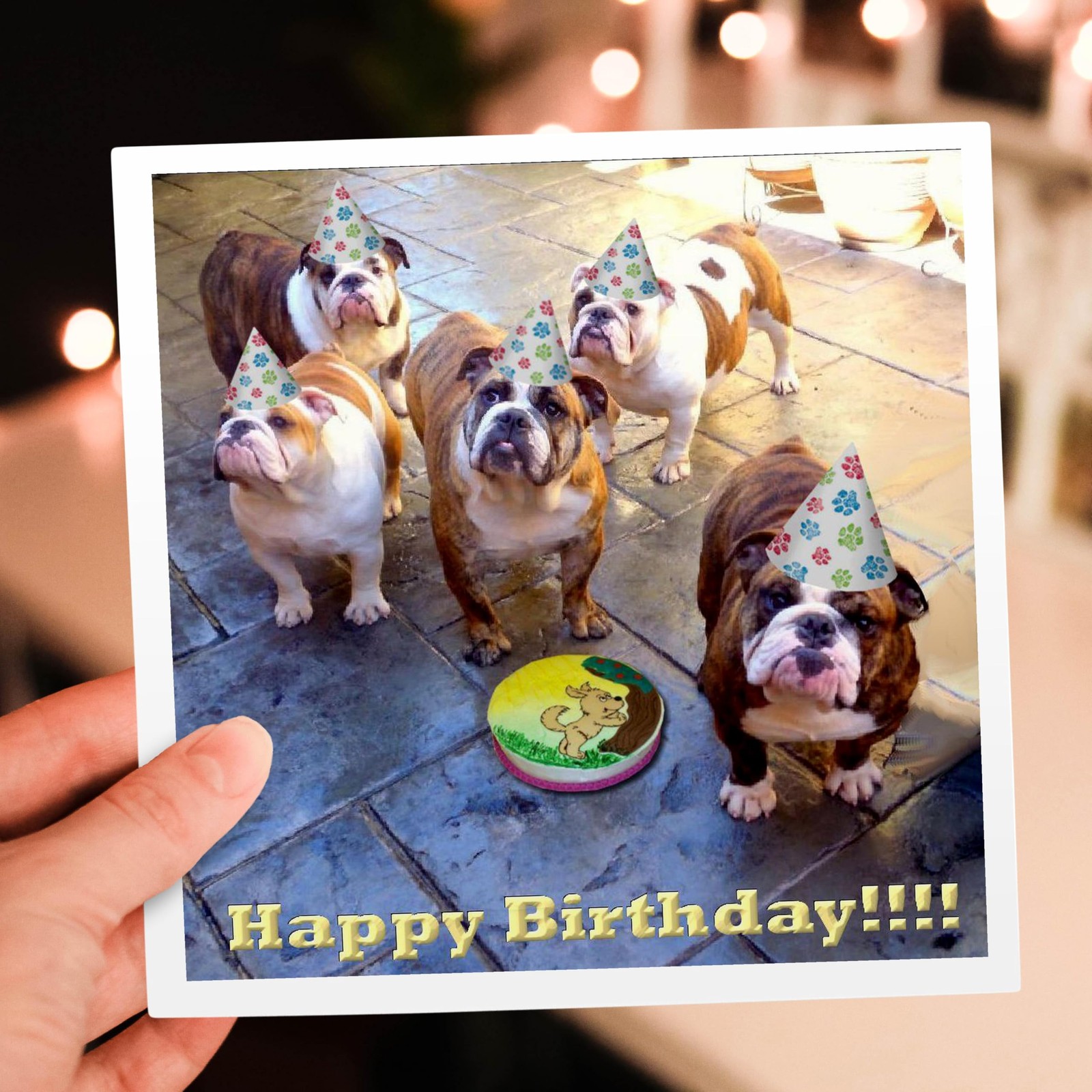 3dRose English Bulldog Birthday – Greeting Cards, 6 x 6 inches, set of 6