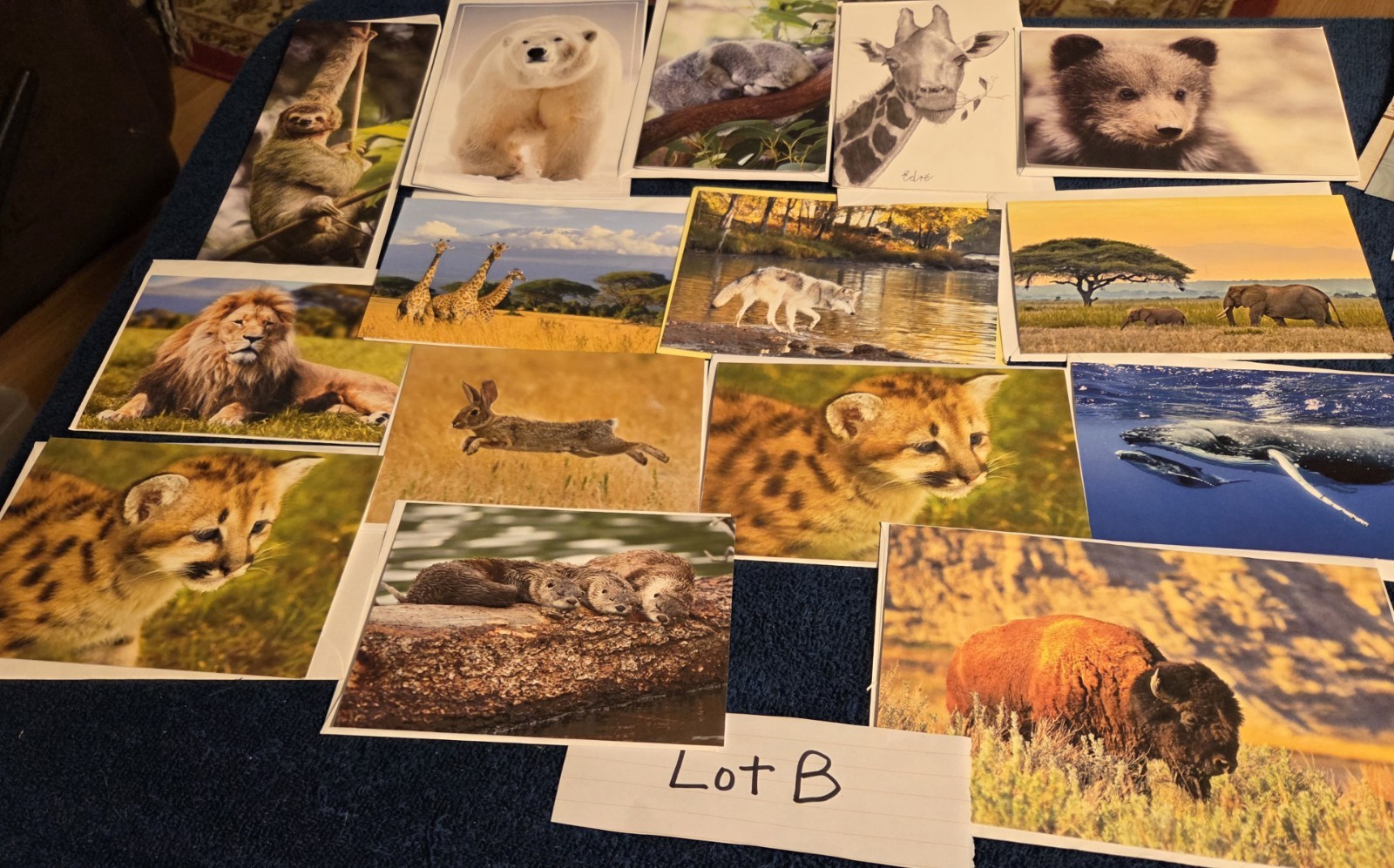 Lot B 15 Asst. Wildlife ANIMALS Greeting Note Cards with Envelopes Blank Inside