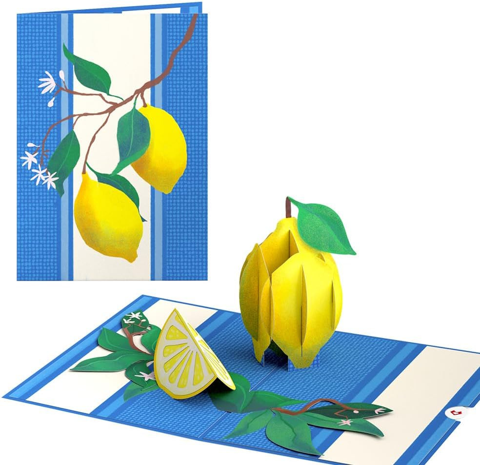 Everyday Pop-Up Card for Her and Him – 3D Greeting Cards for Boys, Girls, Men, W