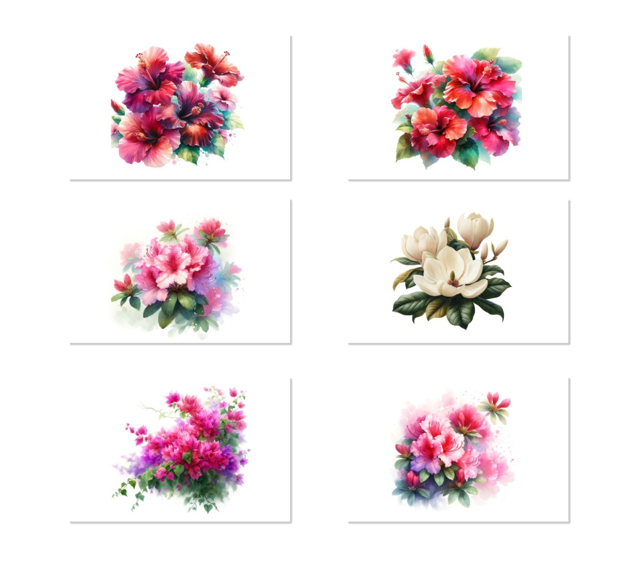 6 Florida Flower All Occasion Note Cards Blank Greeting Cards Envelopes Hibiscus