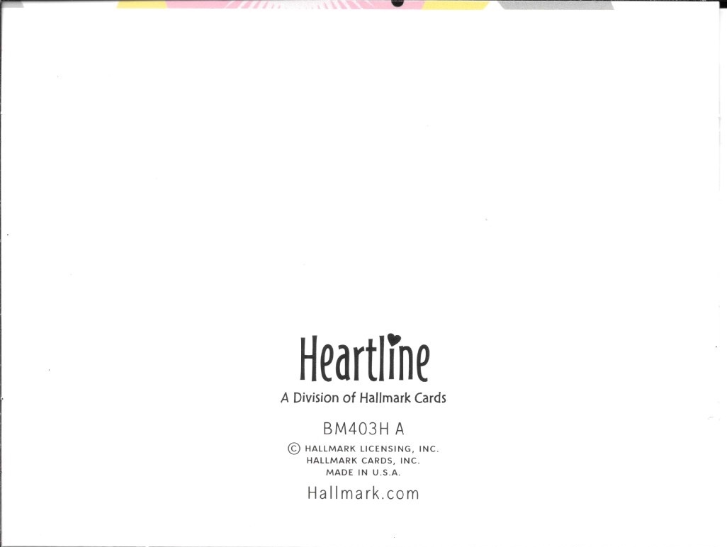 Pink & Yellow Abstract Flower Blank Note Cards By Hallmark – Set of 16