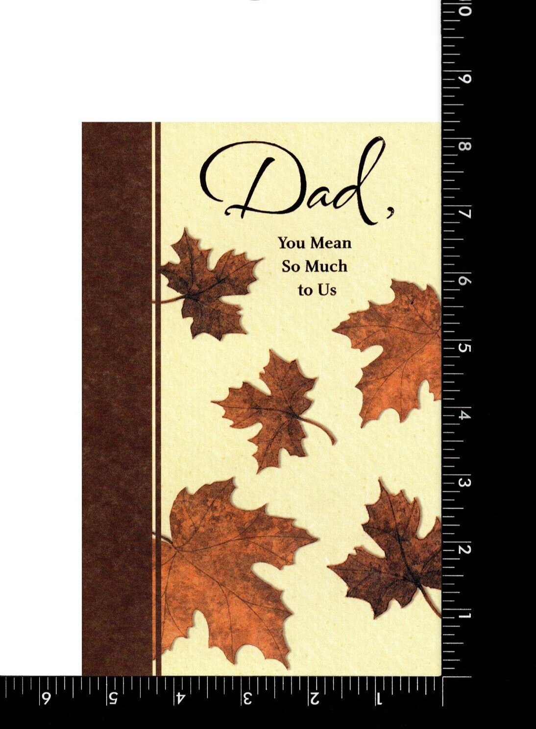 Loving BIRTHDAY Card FOR DAD FROM MULTIPLE, Fall Leaves — American Greetings + ✉