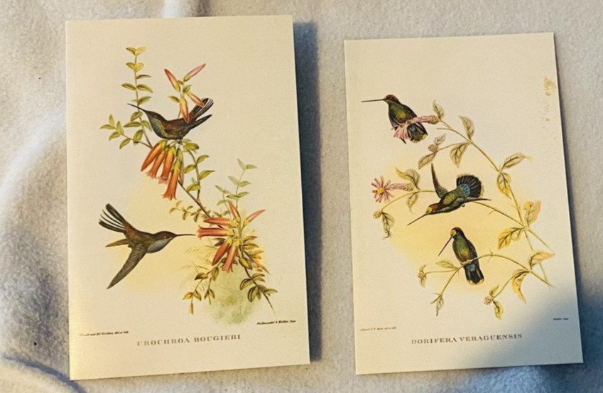 VTG 1995 Note Cards 10 Blank Kensington publishing Hummingbirds John Gould