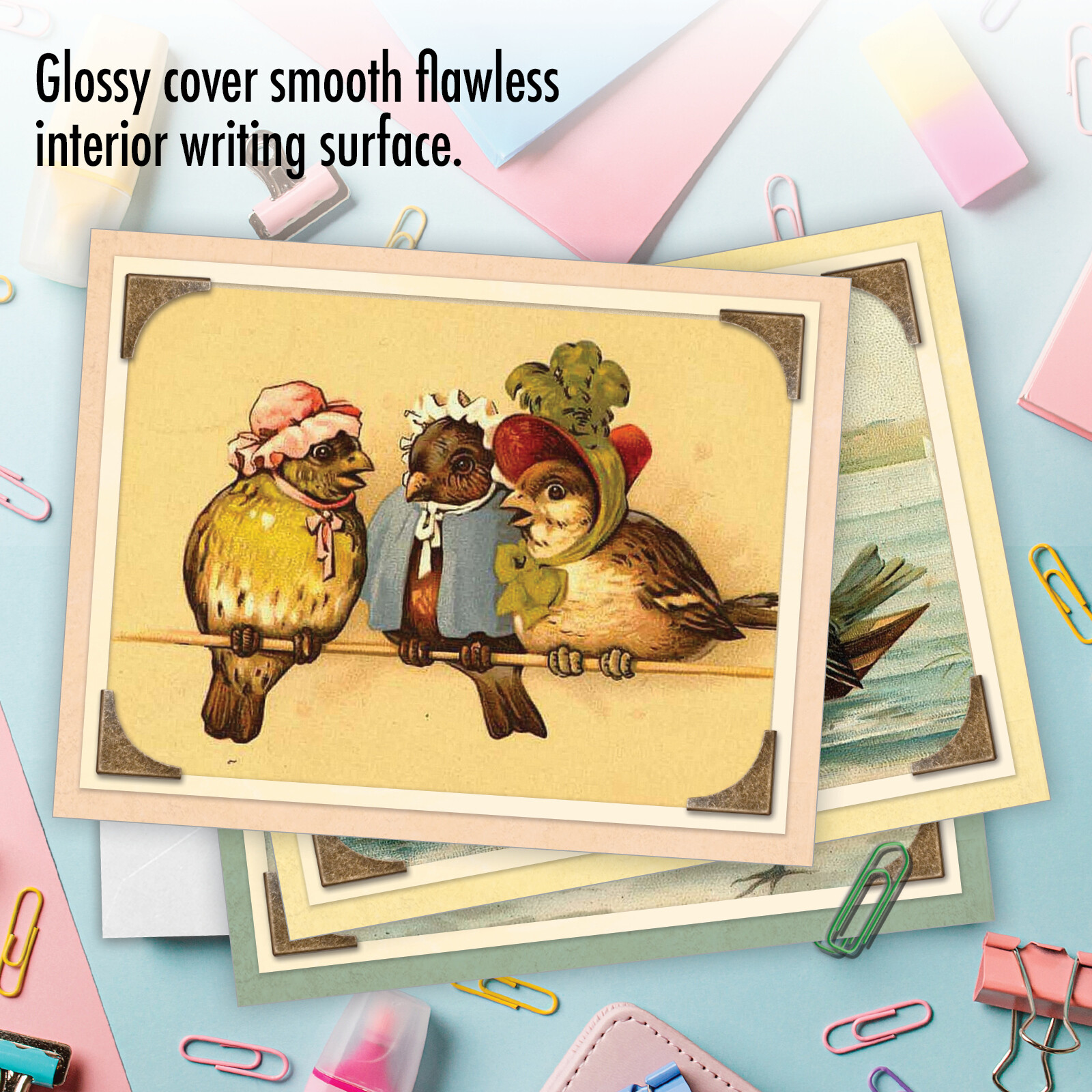 10 Assorted All Occasion Blank Note Cards with Envelopes – SWEET TWEETS M2344OCB