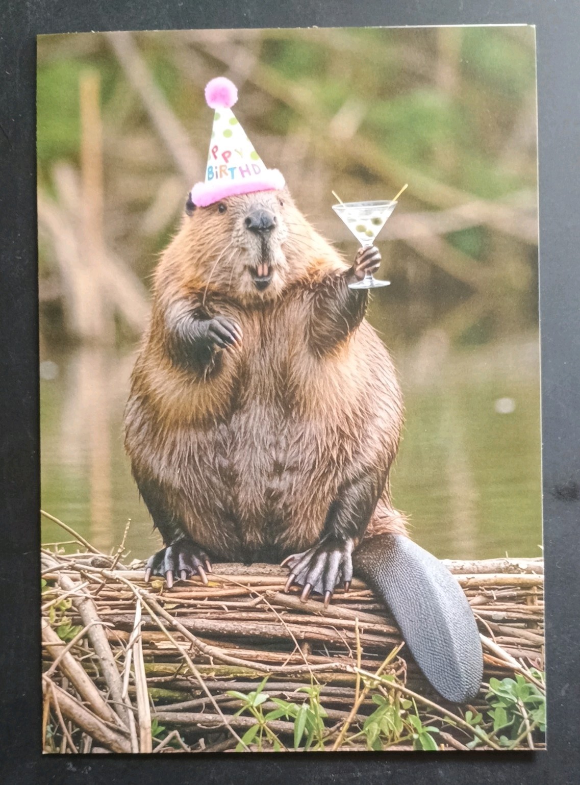 Funny Birthday Card