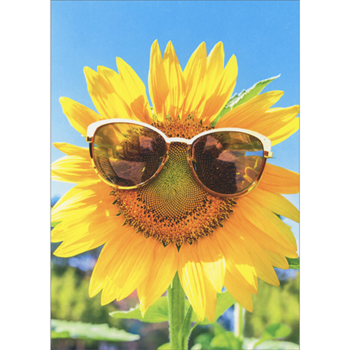 Avanti Press Sunflower Wearing Sunglasses Against Blue Sky Mother’s Day Card