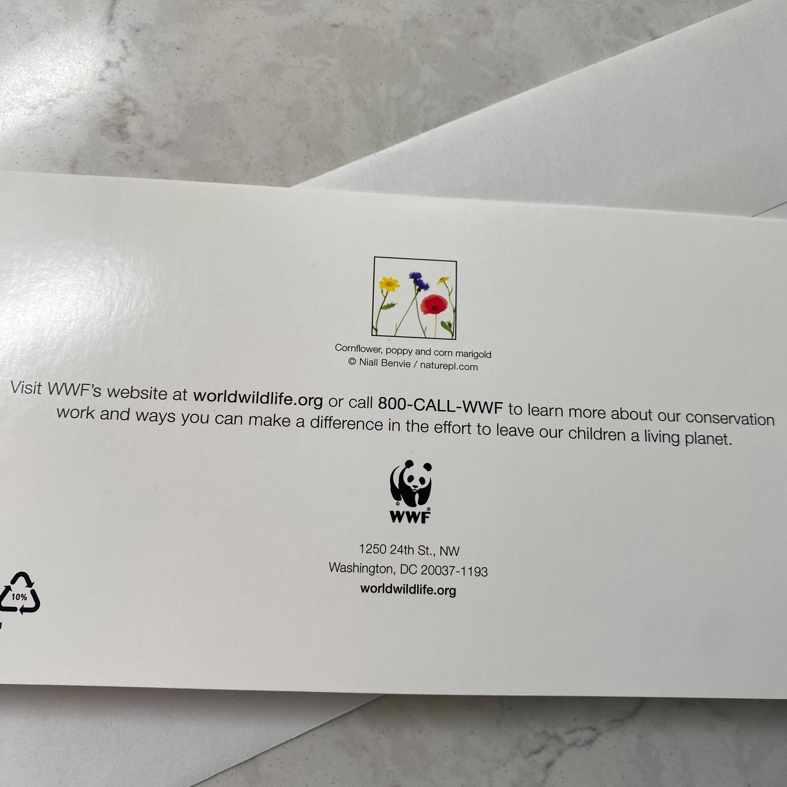 World Wildlife CornFlower Poppy and Corn Marigold All Occiasion Blank Card