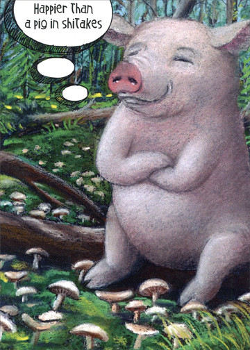 Pig in Shitakes Tree-Free Greetings Funny Humorous Birthday Card