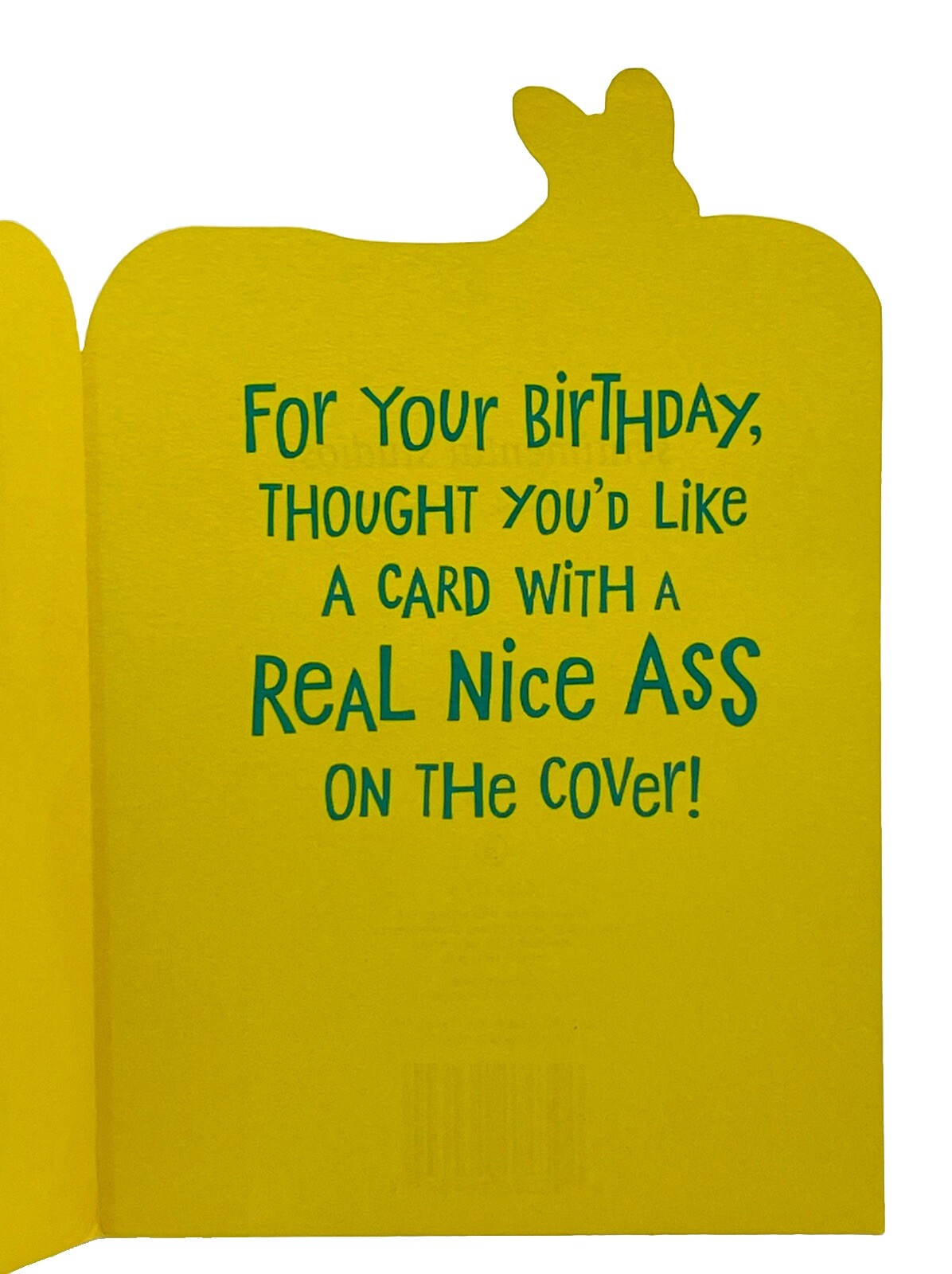 Birthday Card For Anyone Funny Donkey Hallmark Sentimental Studios Card NEW