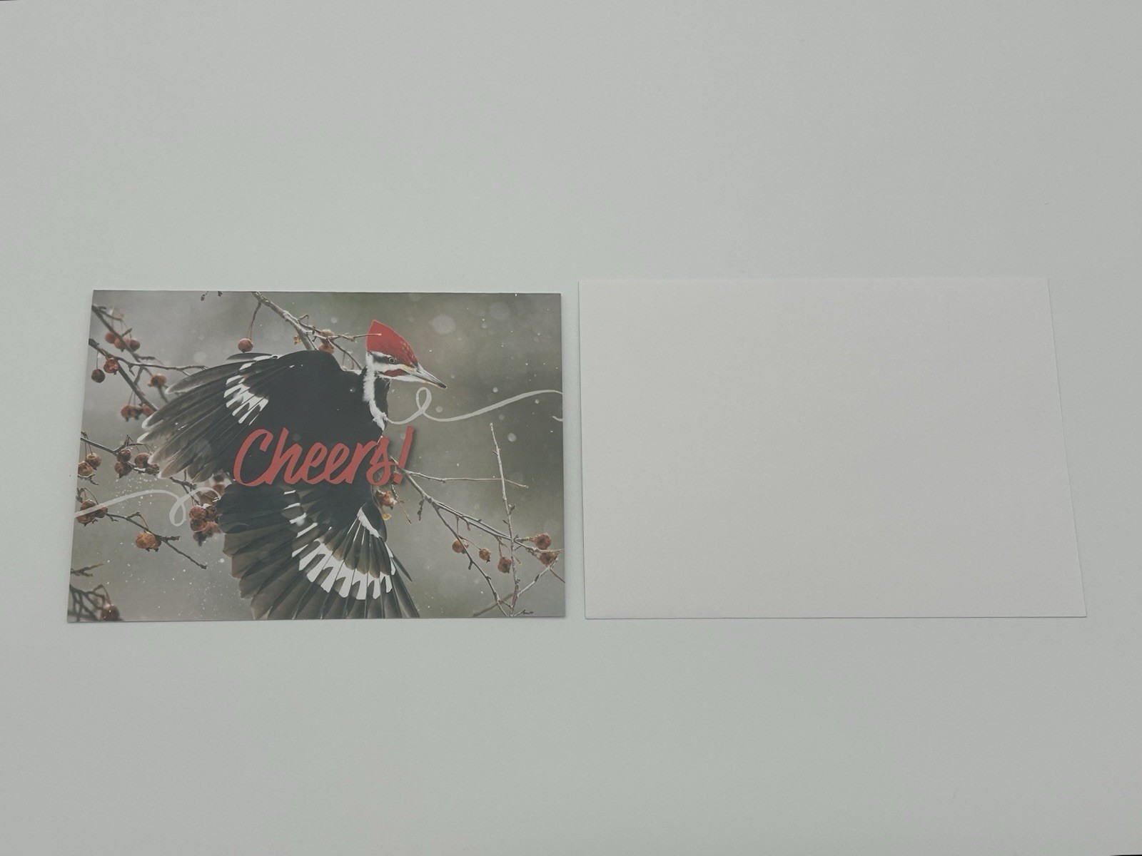Happy Holiday and New Year Cheers Greeting Card – with white envelope