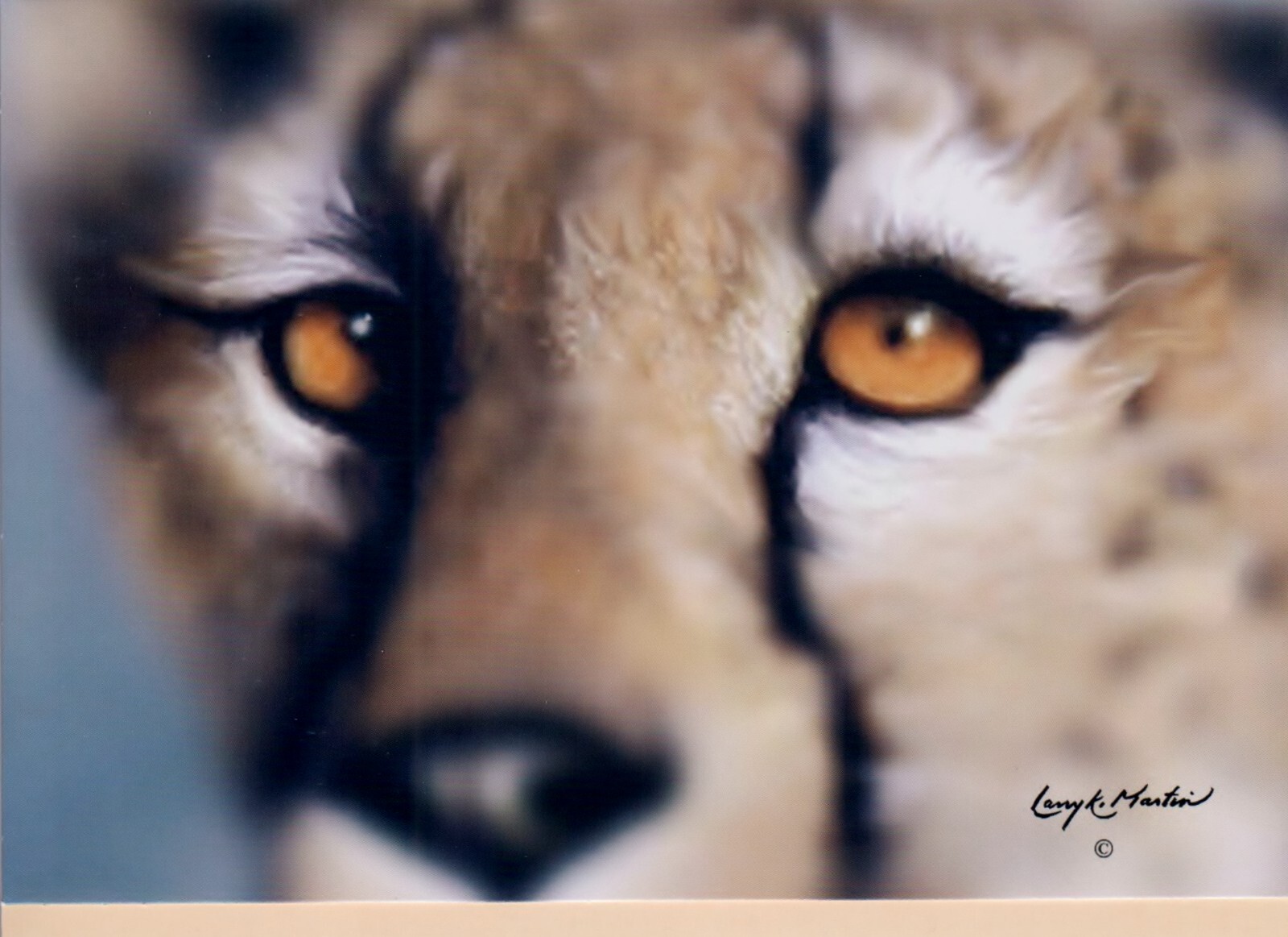 Birthday Artist Larry K Martin Tiger 1 Card 1 Envelope Greeting Card