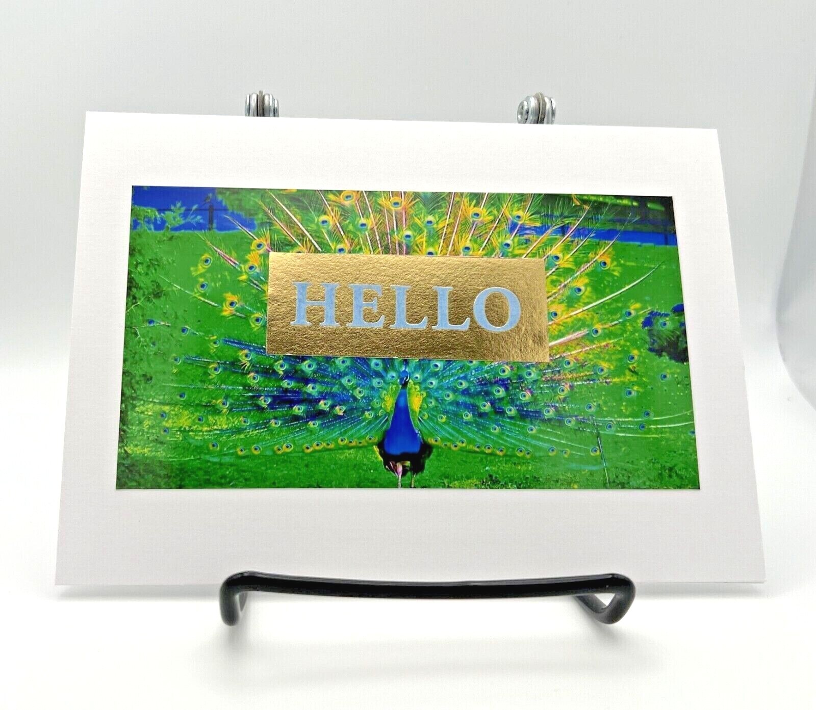 Anniversary Greeting Card, Glossy Print on Fine Linen Cardstock, FREE SHIPPING