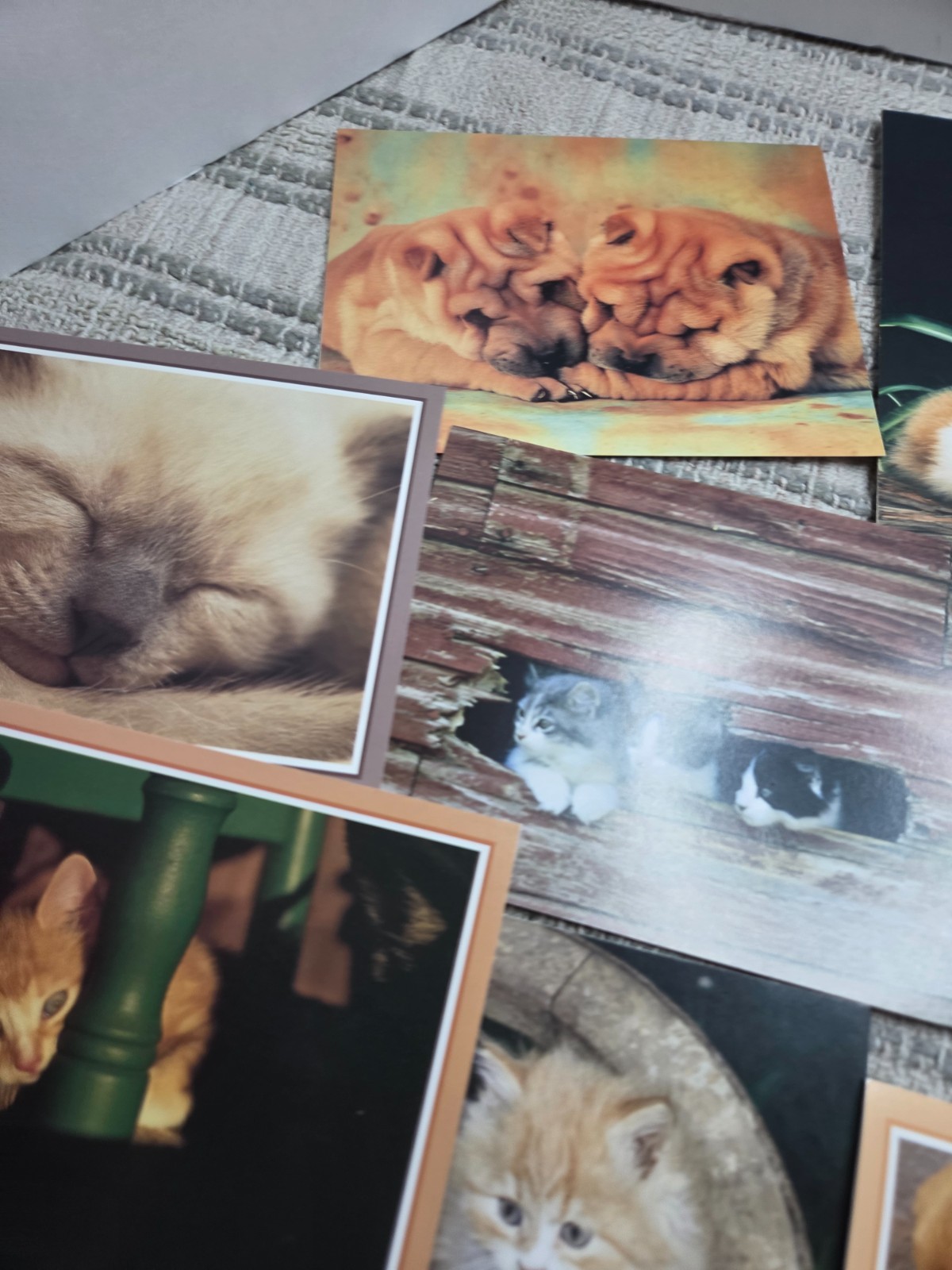 Puppies and kittens greeting cards lot of 19, any occasion