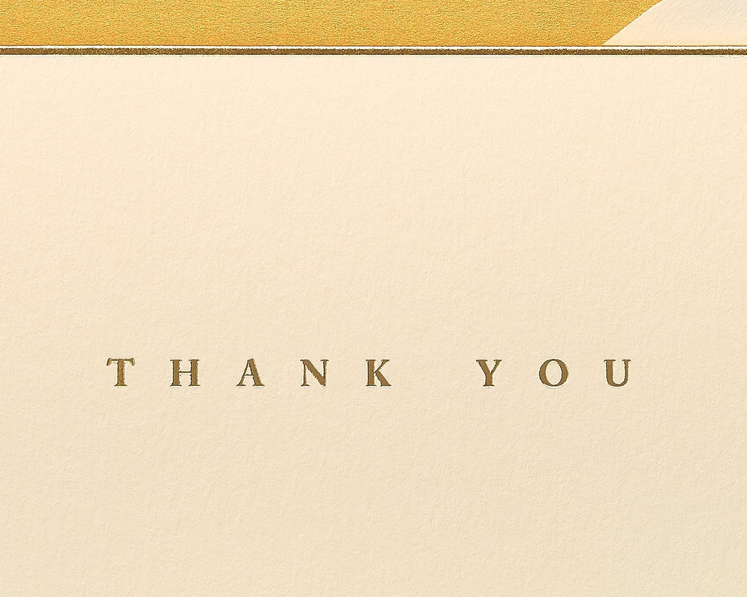 Thank You Cards with Gold Foil Border – Pack of 16