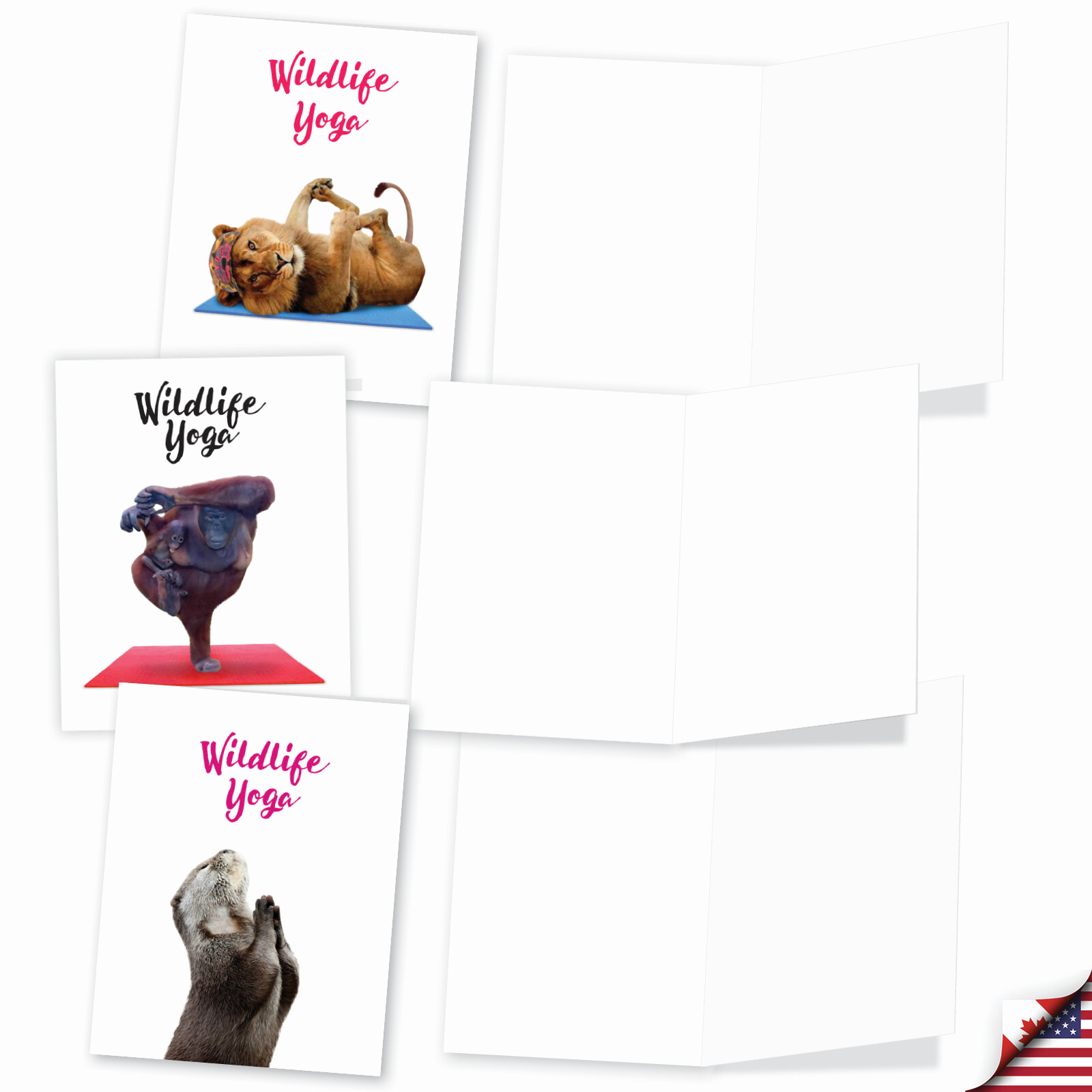 20 Blank All Occasion Cards (10 Designs, 2 Each) – Wildlife Yoga AM7030OCB-B2x10