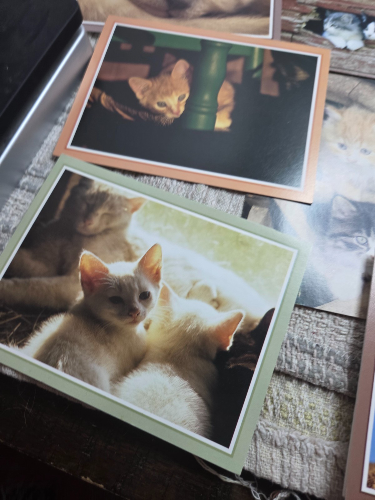 Puppies and kittens greeting cards lot of 19, any occasion