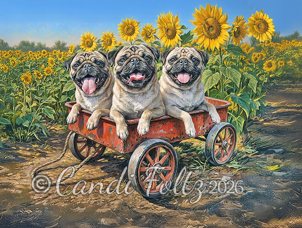 Pug Dogs Red Wagon Sunflowers Greeting Card