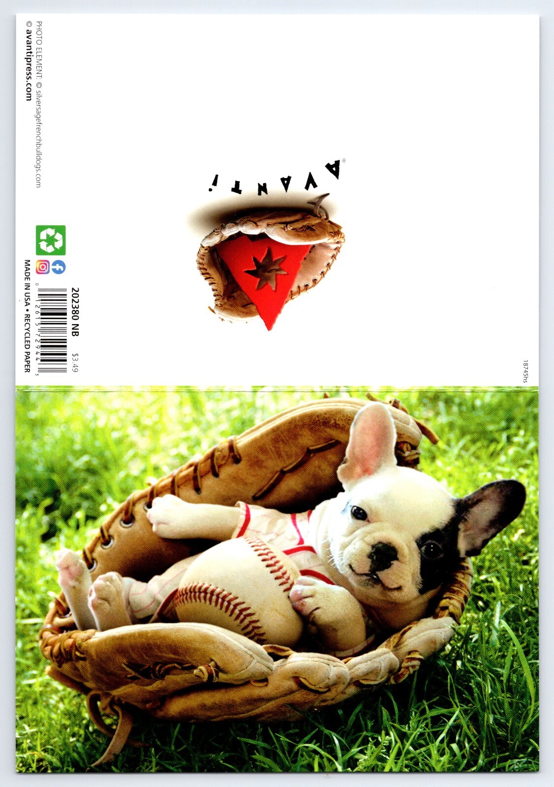 AVANTI FRENCH BULLDOG BASEBALL MITT CONGRATULATIONS GREETING CARD w Envelope C20