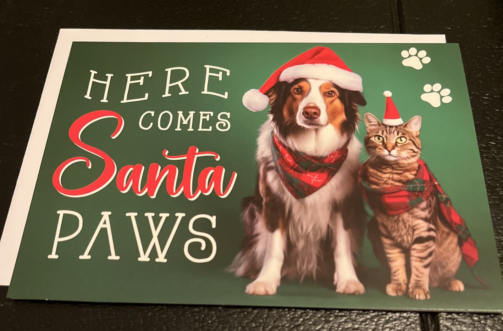 Dog & Cat Themed Christmas Greeting Card 5×7 Santa Paws