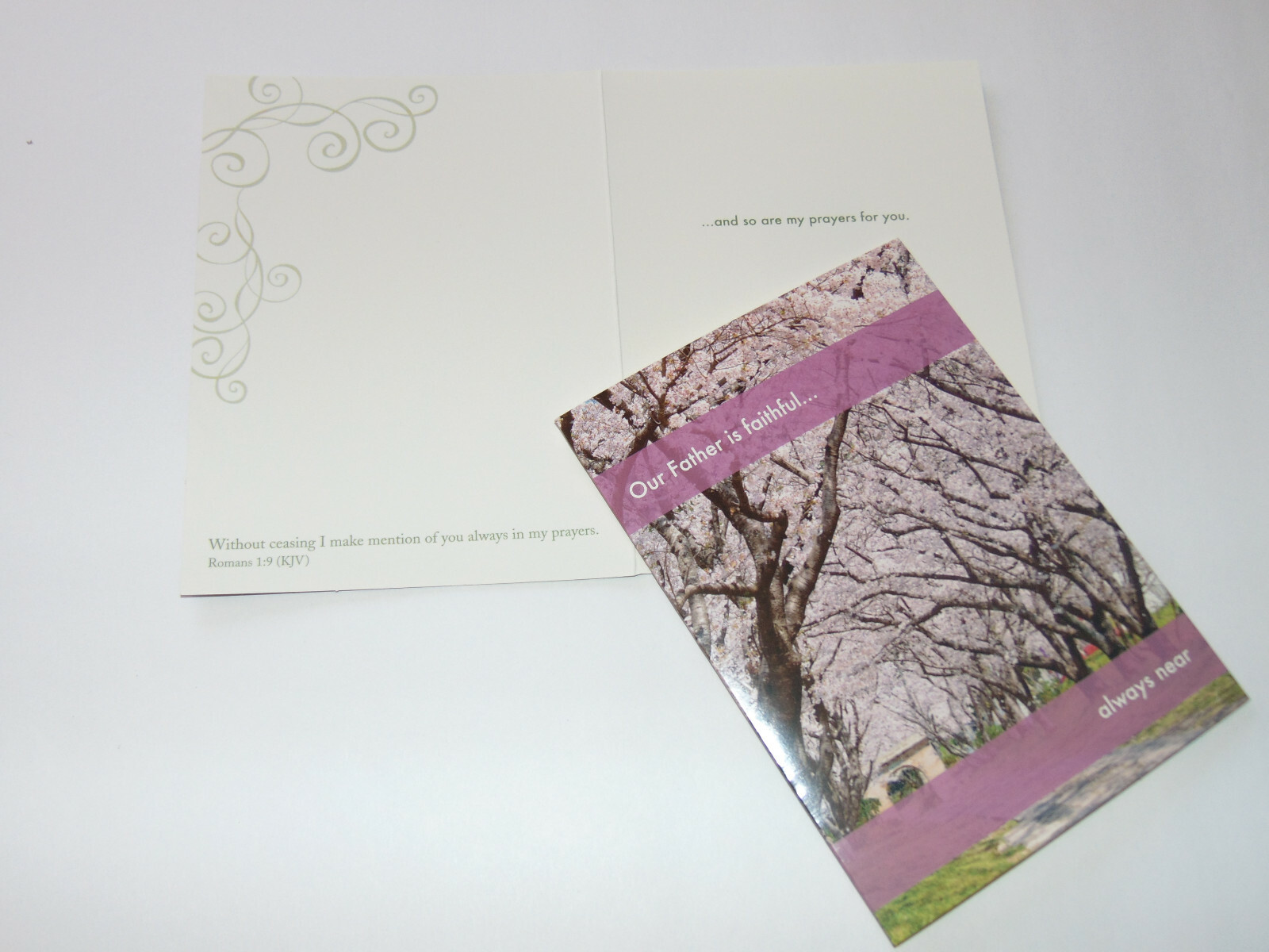 BOX 12 Christian SYMPATHY & SENTIMENTS Greeting Cards, KJV Bible Scripture Verse