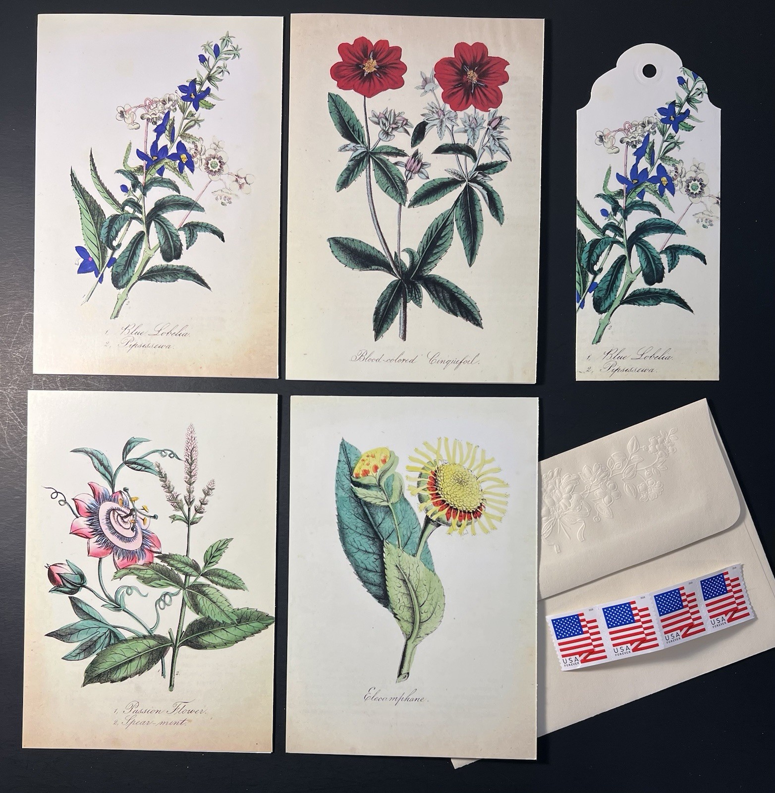 Set of 4 Botanical Notecards Embossed Floral Env/Gift Tag/Stamps BN Sierra Club