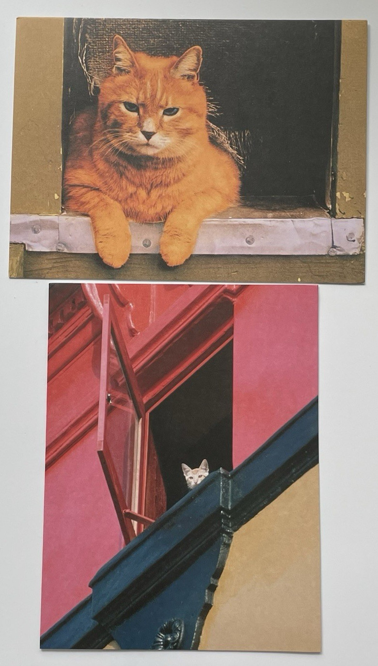 Lot of 2 Cute Cat Note Cards Blank Inside Write Your Own Message w/Envelopes