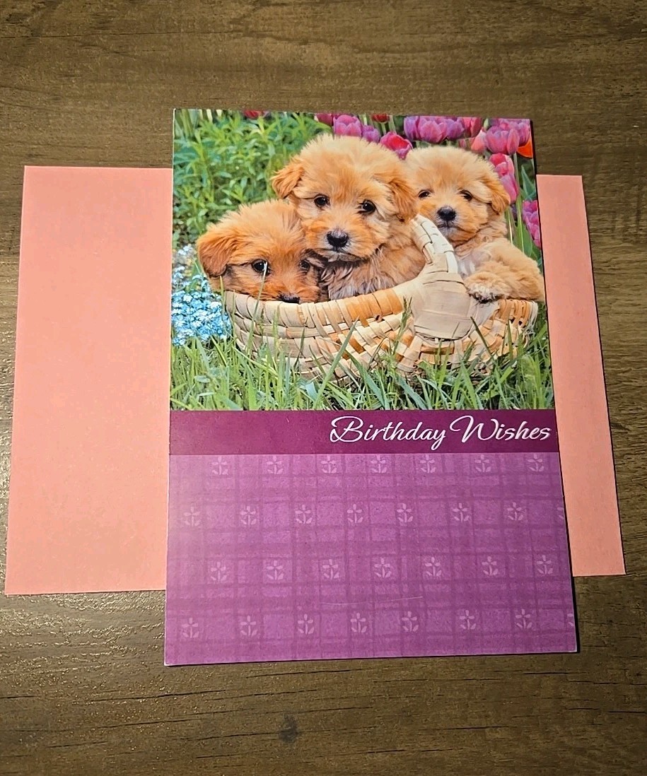 Happy Birthday Card – Puppies In A Basket – Religious Greeting – With Envelope