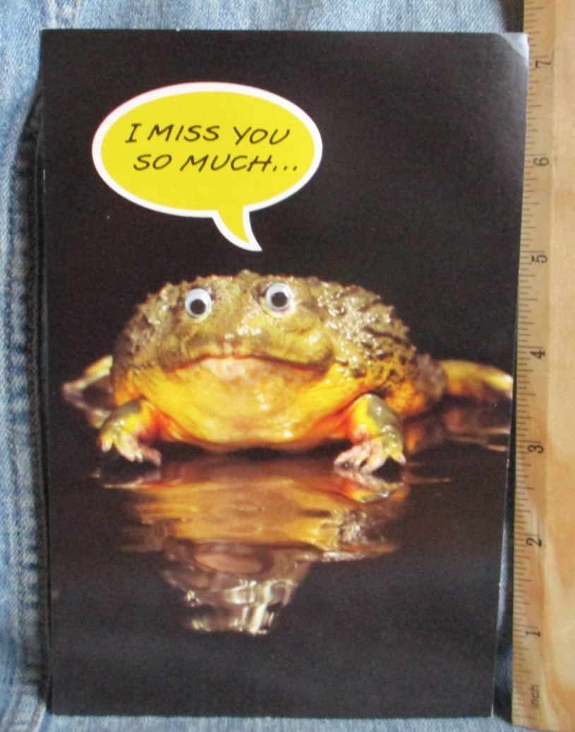 BUBBLE EYES FROG Vintage American Greetings Greeting Card New w/ Envelope MG96